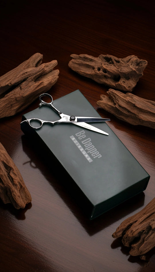 BD-01 Korean Pro Series | VG-1 Takefu Steel Professional Barber Scissors