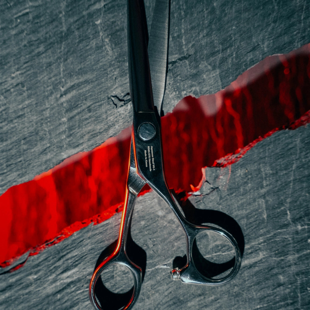 BD-02 Korean Pro Series | VG-1 Takefu Steel Professional Barber Scissors