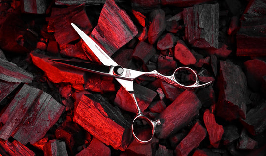 BD-01 Korean Pro Series | VG-1 Takefu Steel Professional Barber Scissors