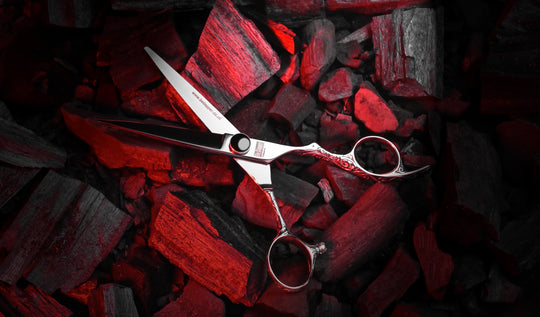 BD-01 Korean Pro Series | VG-1 Takefu Steel Professional Barber Scissors