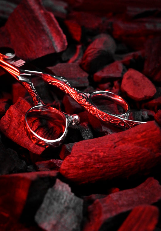BD-01 Korean Pro Series | VG-1 Takefu Steel Professional Barber Scissors